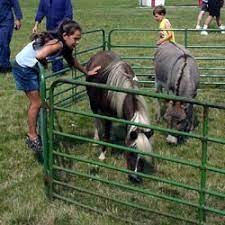 Caricature artists book and schedule caricature artists for a company picic michigan indiana ohio illinois. Petting Zoo And Mobile Petting Farm Michigan Have A Mobile Petting Farm Come To Your Event In Michigan