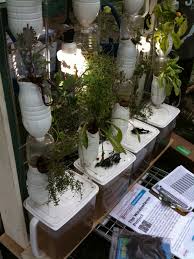 The use of a hydroponic system in vertical gardening will be of great benefit, especially to the plants grown indoors where there is limited sunlight. Windowfarm Wikipedia