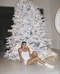 When rob kardashian and blac chyna hooked up in 2016, the kardashian family tree became laughable. S K I M S Kardashian Christmas Christmas Poses Kim Kardashian