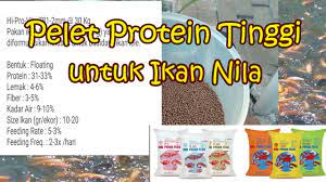 We did not find results for: Meningkatkan Nafsu Makan Ikan Nila Awal Tebar Dengan Pelet Protein Tinggi Pf 1000 Youtube
