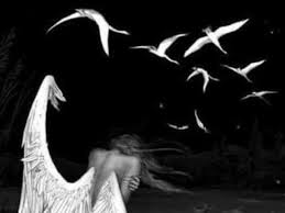 I can't grow my wings." Its a phrase that's metaphorical ...