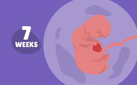 Check spelling or type a new query. Can Cervical Mucus Help You Detect Early Pregnancy