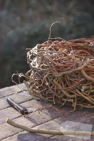 Vom Gartenschnitt Zur Fruhjahrsdeko Nest Aus Weide Fruhjahrsdeko Korkenzieherweide Fruhlingskranze