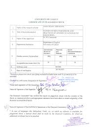 Societal Impact of Open Foundation Models - The Future of Pleasure