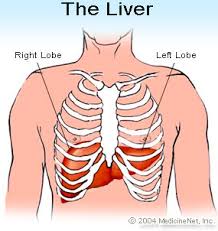 It is important that you learn about the functions of this organ. Fatty Liver Disease Nash Symptoms Treatment Causes Diagnosis