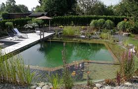 It's a super popular place for a day trip, with a nice grassy area for picnics overlooking the water. The Most Natural Organic Pool You Can Build Yourself Wake Up World Natural Swimming Pools Natural Pool Natural Swimming Pool
