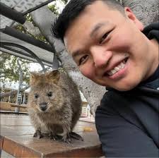 What are the best recommendations for wonton, dim sum, Cha Chaan teng, and  chinese rotisserie in Toronto?