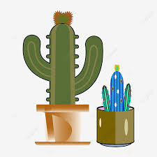 Over 49,925 cactus pictures to choose from, with no signup needed. Christmas Cactus Transparent Background Design Christmas Cactus Cactus Cactus Clipart Png And Vector With Transparent Background For Free Download
