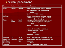 Pelaporan sains rumah tangga kssm tingkatan 5. Bab 3 Pencernaan Dan Penyerapan Ekonomi Rumah Tangga Tingkatan 5