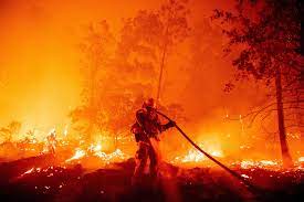 Warmer spring and summer temperatures, reduced snowpack, and earlier spring snowmelt create longer and more intense dry seasons that increase moisture stress on vegetation and make forests more susceptible to severe wildfire. California Wildfires Explained Why Does The State Have So Many The New York Times