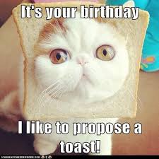 Birthday Quotes Happy Birthday Meme Funny It S Your Birthday Birthday Wishes Funny Happy Birthday Meme Funny Happy Birthday Pictures