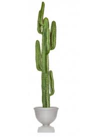 Plant that does not require care. Artificial Cactus Plants Trees The Artificial Plants Shop
