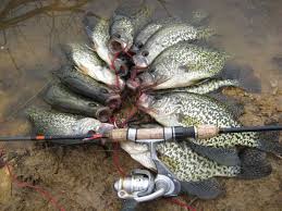 Jigs up high, jigging rap down low. Springtime Means Crappie Fishing Carroll County Times