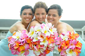 Welcome Brides Bridesmaid Flowers Wedding Flower Photos Plumeria Bouquet