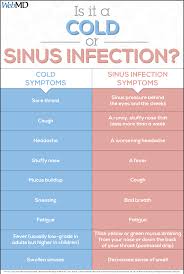 Pin On Cold And Flu Season What You Should Know