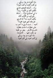 Desertrose نزار قباني Beautiful Arabic Words Arabic Words Magic Words
