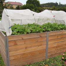 I've come to a similar conclusion regarding construction of raised beds using metal rather than wood. Raised Bed Made Of Larch Wood Manufactum