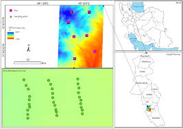 Image result for Aeschynomene bullockii