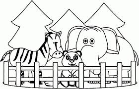 The cat is a pet animal. Zoo Animals Coloring Pages Best Coloring Pages For Kids Zoo Coloring Pages Zoo Animal Coloring Pages Animal Coloring Books