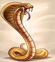 How To Draw A Cobra, Step By Step, Drawing Guide, By Dawn - Dragoart