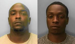 Level cannabis dealers jailed