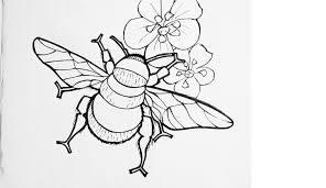 Art coloring is different from traditional coloring book app 📖, it is more modern, delicate designed and diversified, and every painting is color by number. Colouring Pages For Kids And Adults Natural History Museum