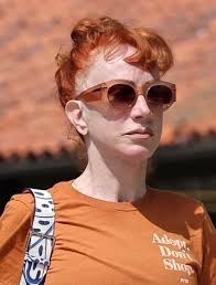 Kathy Griffin shows off striking new look in Malibu after undergoing third  facelift