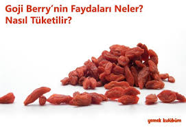 Goji Berry Faydalari Neler Goji Berry Kullanim Goji Berry Zayiflatir Mi Goji Berry Nasil Kullanilir Tuketilir Yenir Goji Berry Meyvesi Kal Berry Yemek Gida
