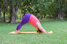 Best Beginner Yoga Deal On The Central Coast Unlimited Beginner Yoga Classes Over 6 Weeks Low Cost Hug Yoga For Beginners Beginner Yoga Class Yoga Pictures