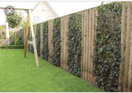 Pin By Emi Murillo On Tuin Ideeen Garden Fence Garden Design Layout Backyard Landscaping