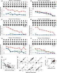 The aspect ratio of an image is the proportional relationship of the width to the height. Neural Coding For Shape And Texture In Macaque Area V4 Journal Of Neuroscience