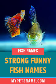 Pin On Fish Names