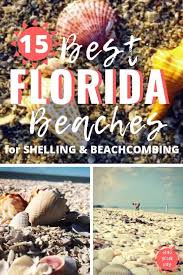15 Best Shelling And Beachcombing Beaches In Florida Shelling Beaches Florida Florida East Coast Best Beach In Florida The area that lemstar is. florida east coast