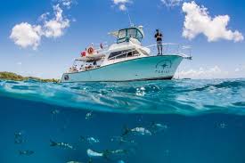 Bioluminescent Bay Puerto Rico Boat Tours A Beach And Snorkel Tour Day Trip To Culebra Island Puerto Rico Departing From Fajardo Puerto Rico Go Snorkeling Cu Culebra Island Puerto Rico Trip Culebra
