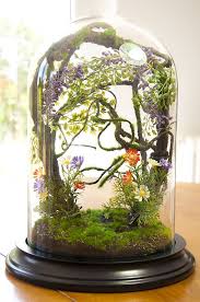 Artificial Plants Forest Terrarium Cabinet Of Curiosities Dome Bell Glass Birthday Gift Wedding Garden Decor Artificial Plants Terrarium Terrarium Domes