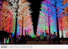 Christmas Lights In Selangor Malaysia Beautiful Christmas Christmas Lights Holiday Lights