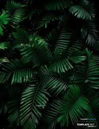 Tropical Zoom Virtual Background Template Template Net Plant Leaves Background Templates Green Landscape