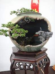 漫步台南 2011台南盆栽大展 玫瑰馨香園 udn部落格 indoor bonsai tree bonsai tree care bonsai tree types