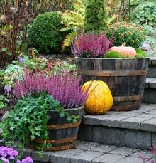 Dekoideen Fur Herbst Draussen Holzfass Heide Efeu Chrysanthemen Kuerbisse Bepflanzung Herbst Pflanzenkubel Fur Den Garten