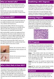Cancer records show that doctors diagnosed about 2,000 mccs in the united states during 2018. Merkel Cell Carcinoma Incyte Diagnostics Blog