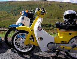 pin on scooter