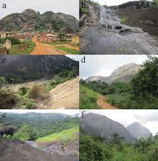 Image result for Heterotis decumbens