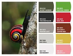 Colors Of A Snail Color Colour Pallette World Of Color