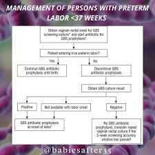 Image result for Group B Streptococcus Prophylaxis