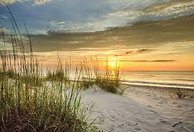 Unexploded bomb found Tuesday in Yulee