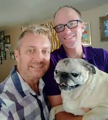 What is the best harness for a tiny pug?