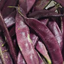 Valore (Purple)
