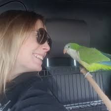 Trying to introduce my IRN to our new conure and they are doing good but my  IRN wants to play with the forbidden toe beans. They have preening the ends  of each