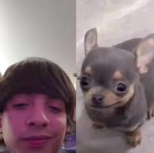 Perro Que Se Parece A Nathan Cano