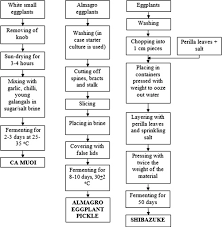 Fermented Fruits And Vegetables Sciencedirect